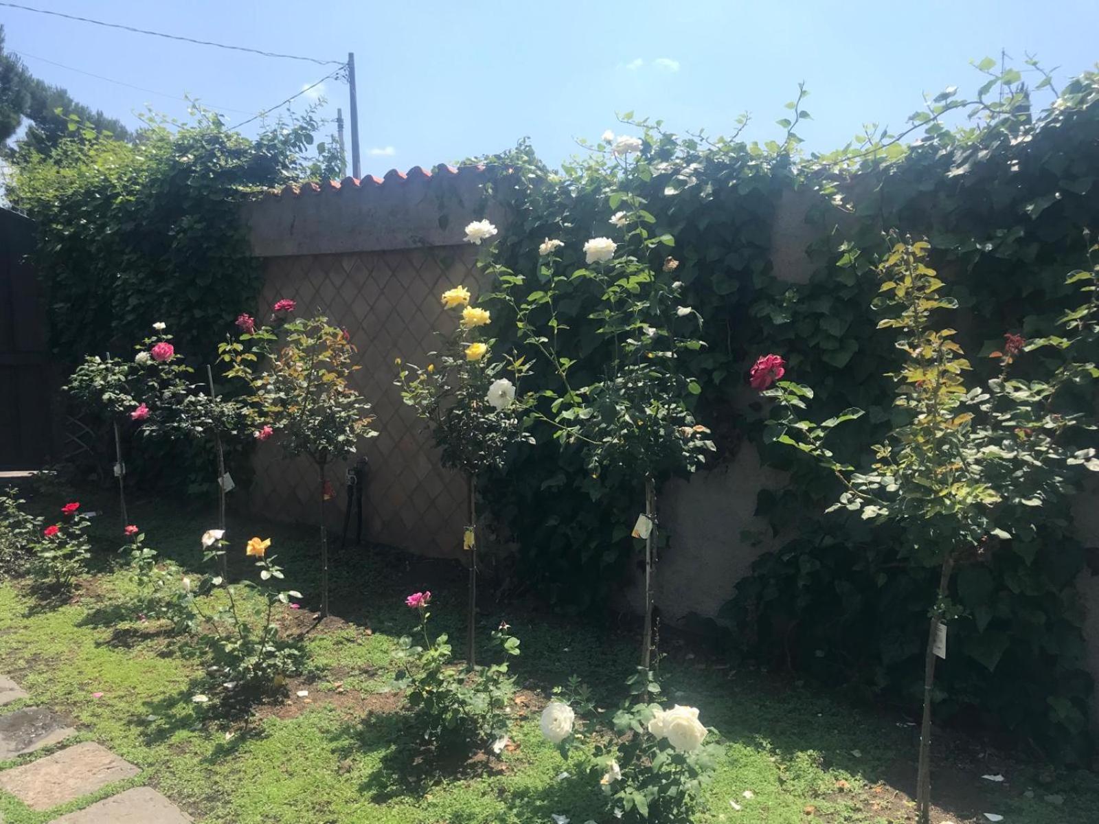 Villa Con Piscina Villa Scott Del Bernese Nicolosi Bagian luar foto